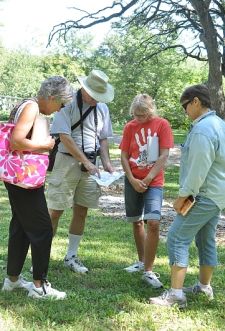 Writers confer in the woods